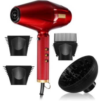 Black Friday BaByliss PRO 4Artists FXBDR1E uscator de par