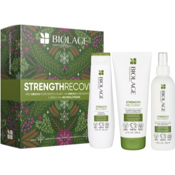 Black Friday 2022 Biolage Strength Recovery set cadou (pentru par deteriorat)