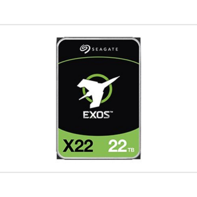 Black Friday 2022 HDD Server Seagate ST22000NM000E