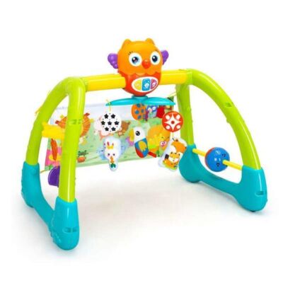 Black Friday 2025 Jucarie 5 in 1 pentru gimnastica Owl Bebeking