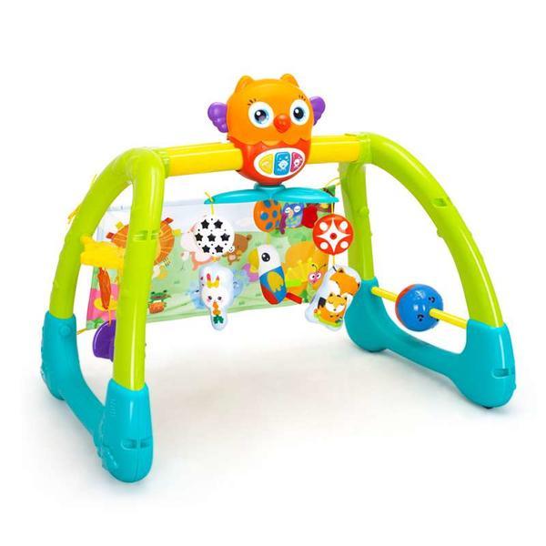 Black Friday 2025 Jucarie 5 in 1 pentru gimnastica Owl Bebeking