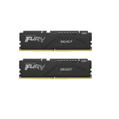 Black Friday Memorii Kingston Fury Beast