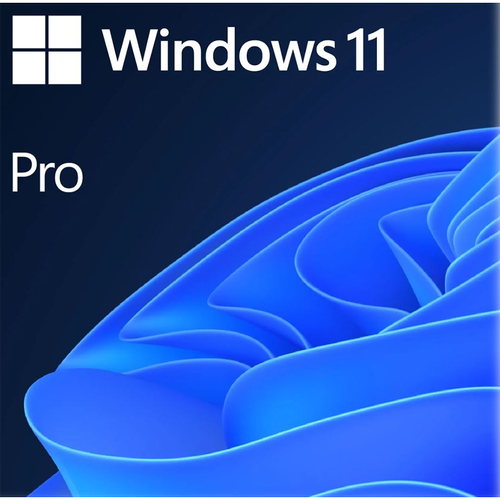 Black Friday Microsoft Windows 11 Professional