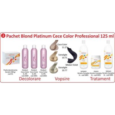 Black Friday 2022 Pachet promo vopsire par - Blond Natural Silver Cece Color Professional