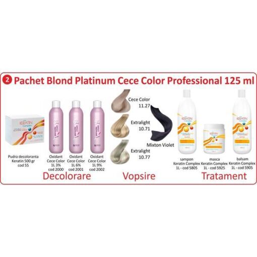 Black Friday 2022 Pachet promo vopsire par - Blond Natural Silver Cece Color Professional