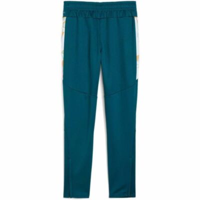 Black Friday 2022 Pantaloni copii Puma Neymar Jr Creativity Training Pants Jr 65895713