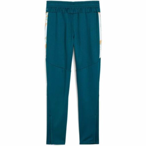 Black Friday 2022 Pantaloni copii Puma Neymar Jr Creativity Training Pants Jr 65895713