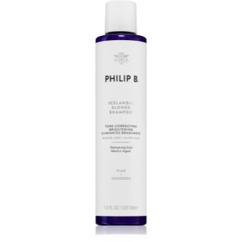 Black Friday Philip B. Icelandic Blonde șampon pentru părul blond şi gri