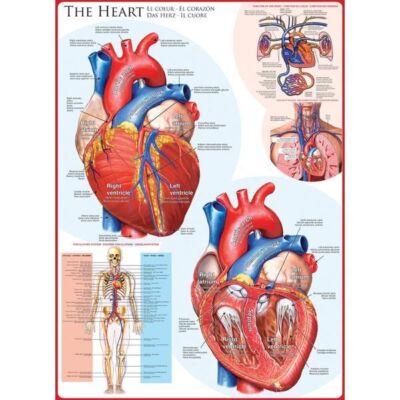 Black Friday 2022 Puzzle 1000 piese The Heart
