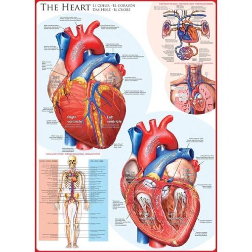 Black Friday 2022 Puzzle 1000 piese The Heart
