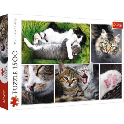 Black Friday 2022 Puzzle 1500. Viata pisicilor