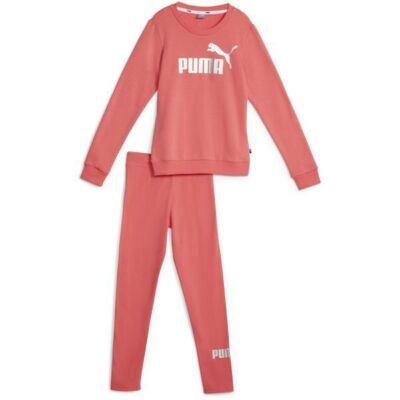 Black Friday 2022 Trening copii Puma Logo FL JR 67104147
