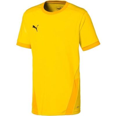 Black Friday 2022 Tricou copii Puma Teamgoal 23 Jersey Jr 70416007