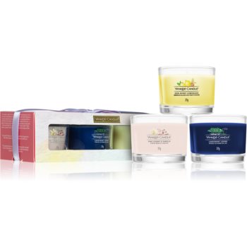 Black Friday 2022 Yankee Candle Art In The Park set cadou II.